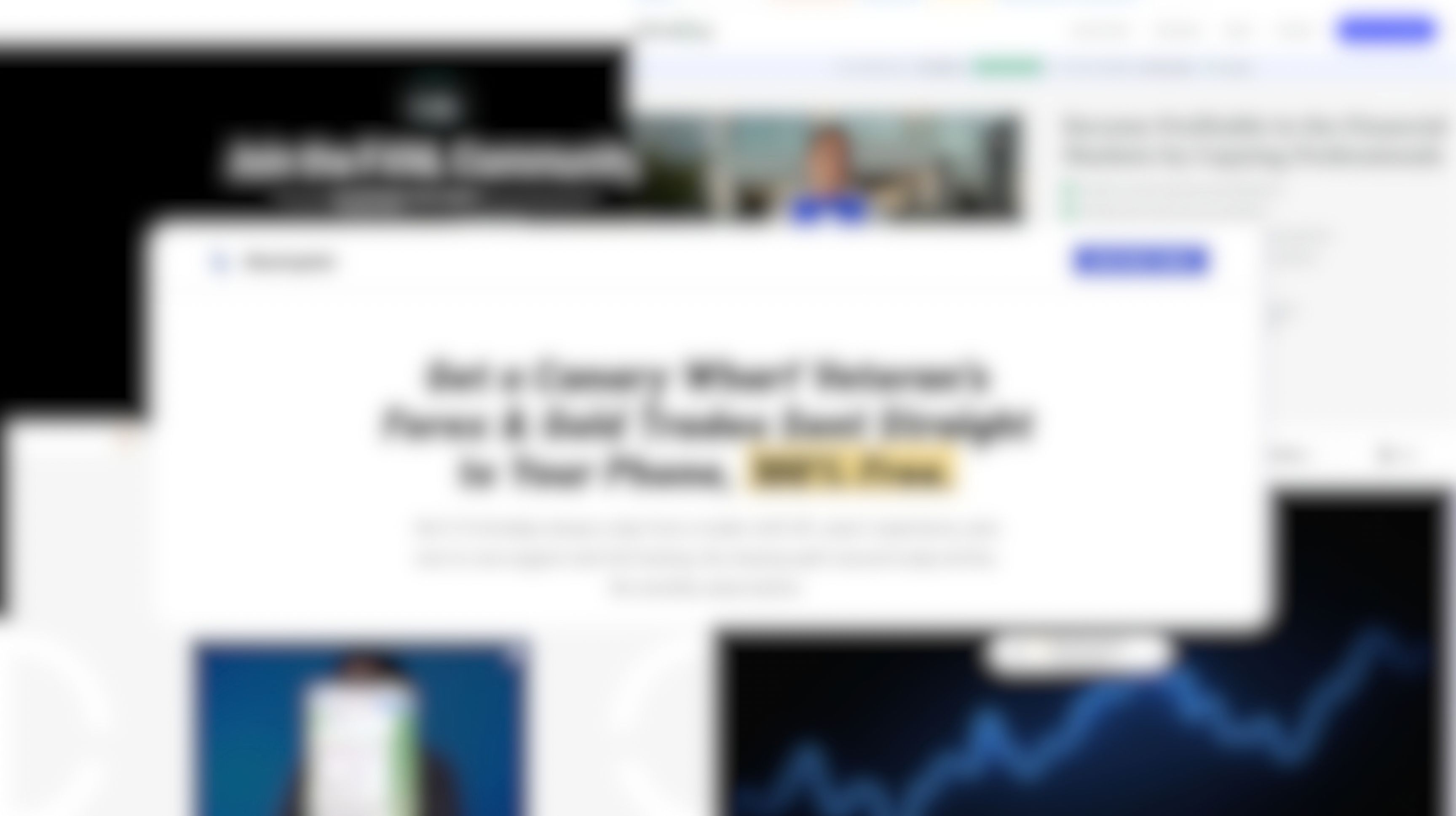 Blurred visual overview of the forex signal groups included in the comparison